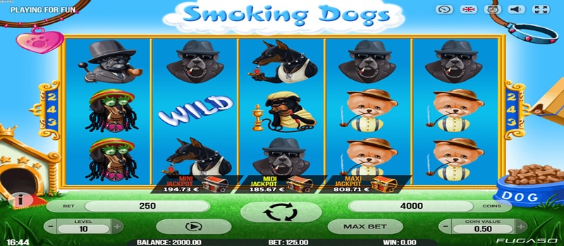 Курящие собаки